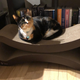 PetFusion Ultimate Cat Scratch Lounge, $50